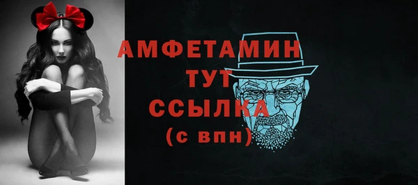 гидра Арсеньев