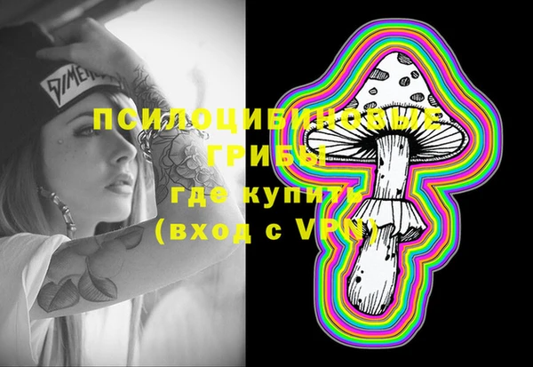 a pvp Аркадак