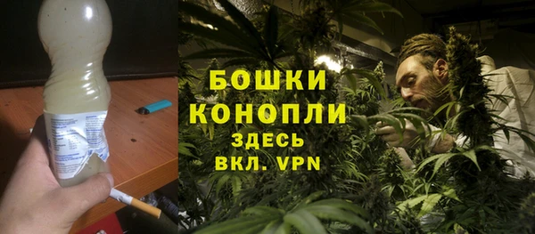 гидра Арсеньев